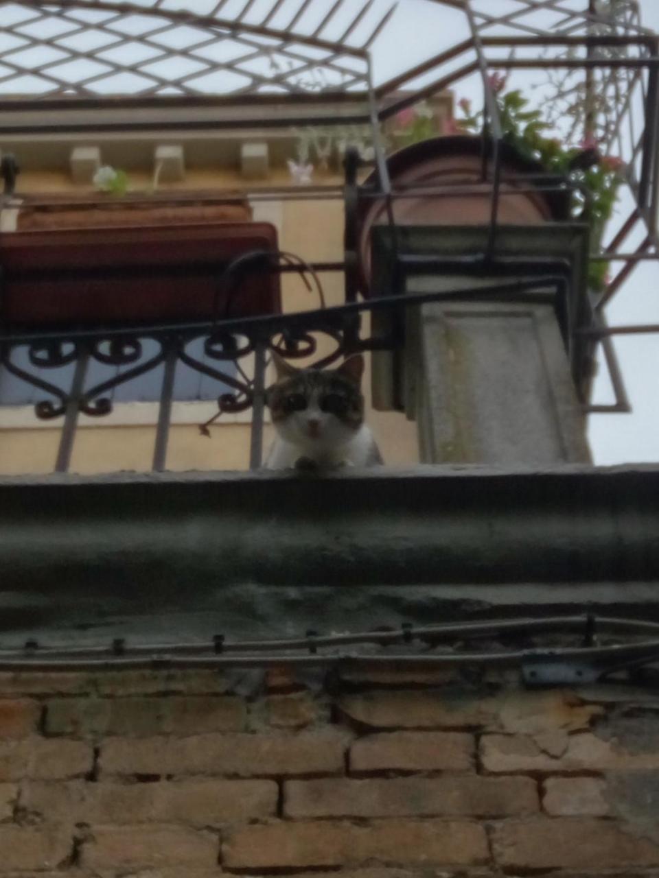 Casa Moresca Венеция Екстериор снимка